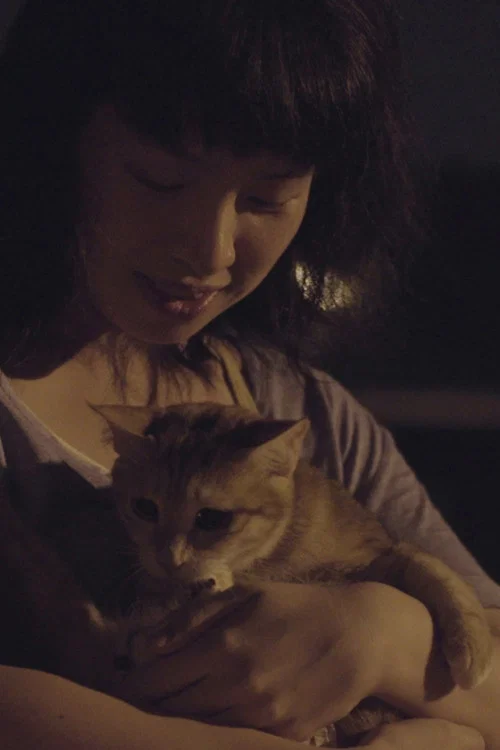 Movie poster for Stray Cat (2015)