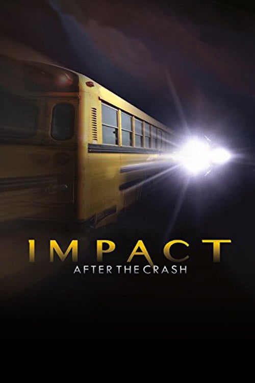 Movie poster for Impact After the Crash (2013)
