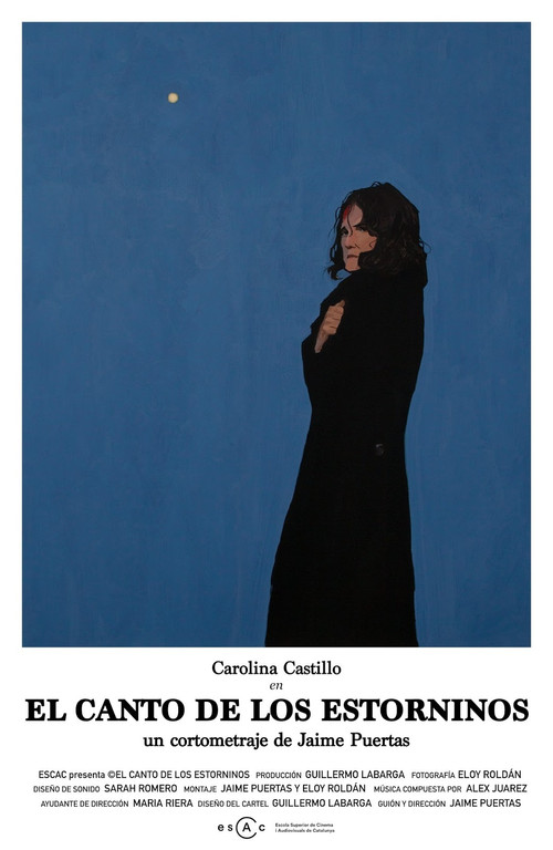 Movie poster for El Canto de los estorninos (2016)