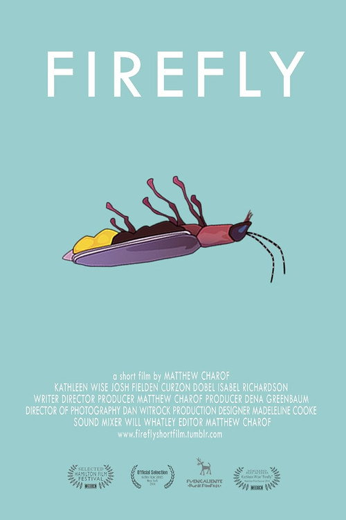 Movie poster for Firefly (2013)