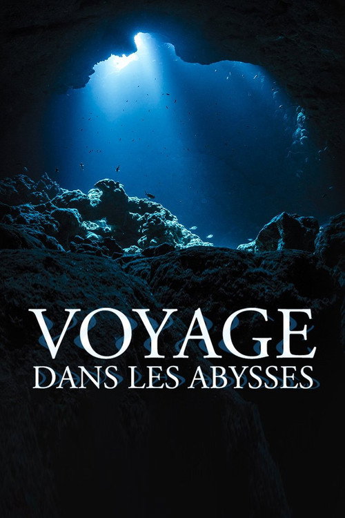 Movie poster for Voyage dans les abysses (2016)