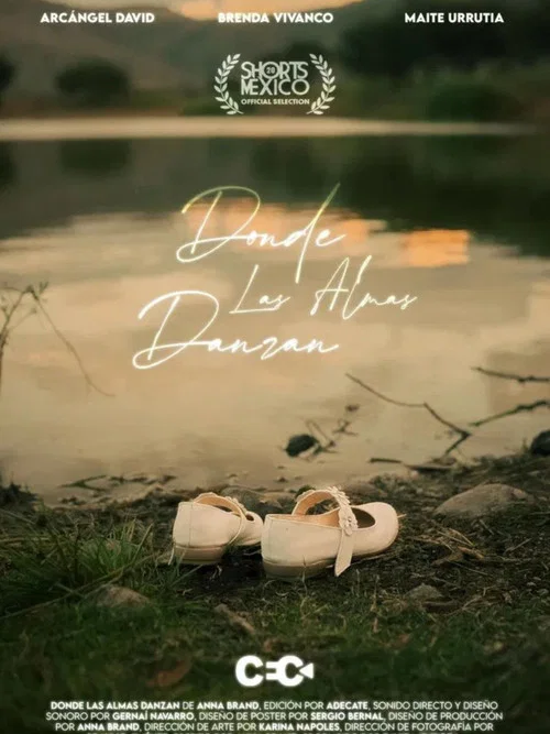 Movie poster for Where Souls Dance (2025)