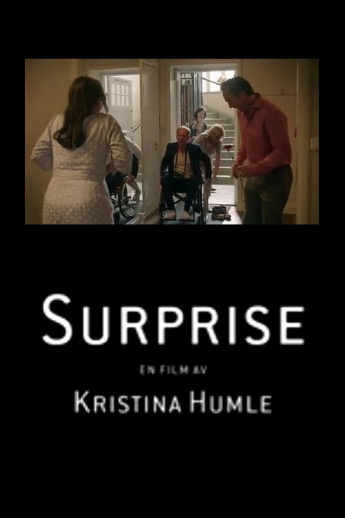 Movie poster for Surprise (2016)