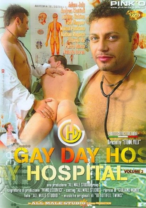 Movie poster for Gay Day Hospital 2 (2006)