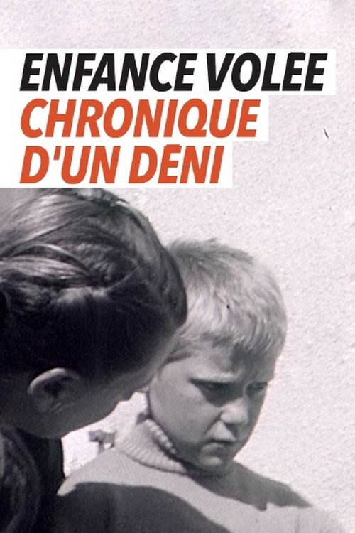 Movie poster for Enfance volée - chronique d'un déni (2019)