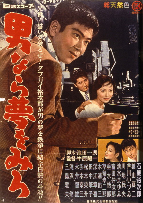Movie poster for Dream Young Man's Dream (1959)