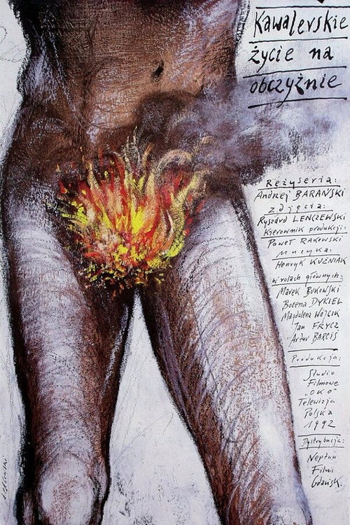 Movie poster for A Bachelor's Life Abroad (1993)