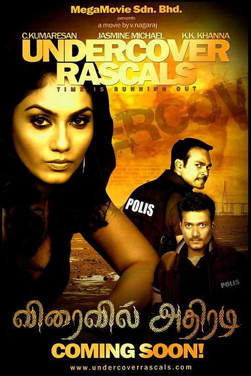 Movie poster for Undercover Rascals (2010)