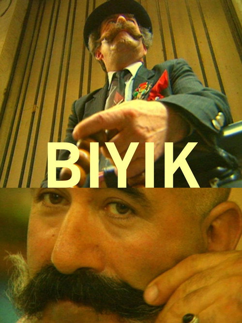 Movie poster for The Moustache (2000)