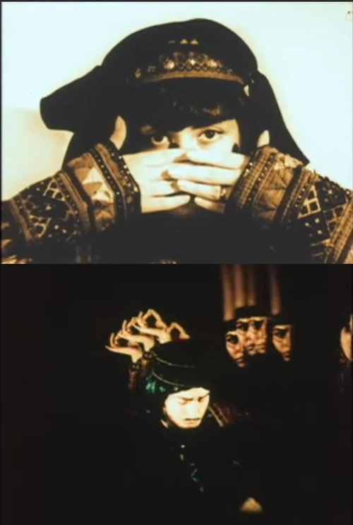 Movie poster for Impressions from Rustaveli (2001)