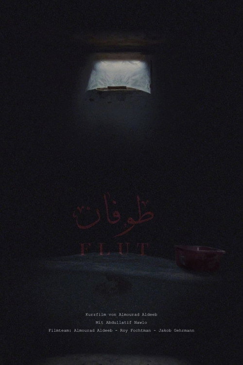Movie poster for Flood (2022)