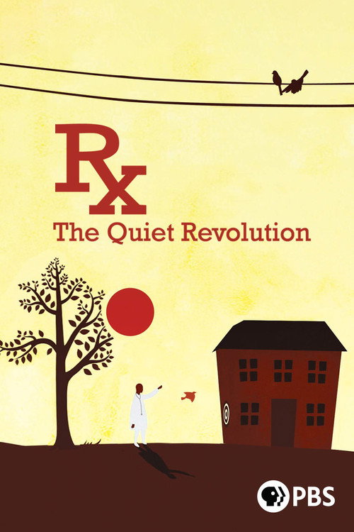 Movie poster for Rx: The Quiet Revolution (2015)