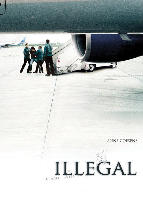 Movie poster for Illegal (2010)
