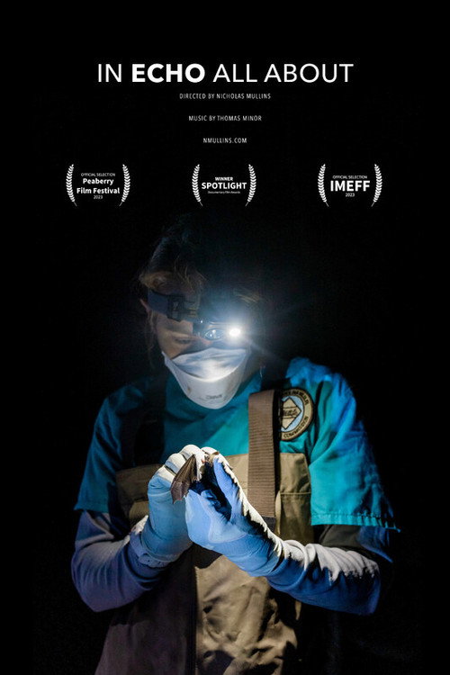 Movie poster for In Echo All About (2022)