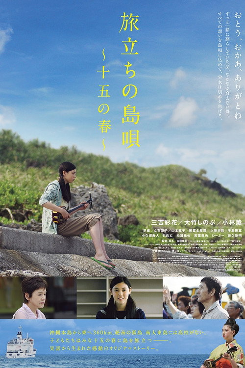 Movie poster for Leaving on the 15th Spring (2013)