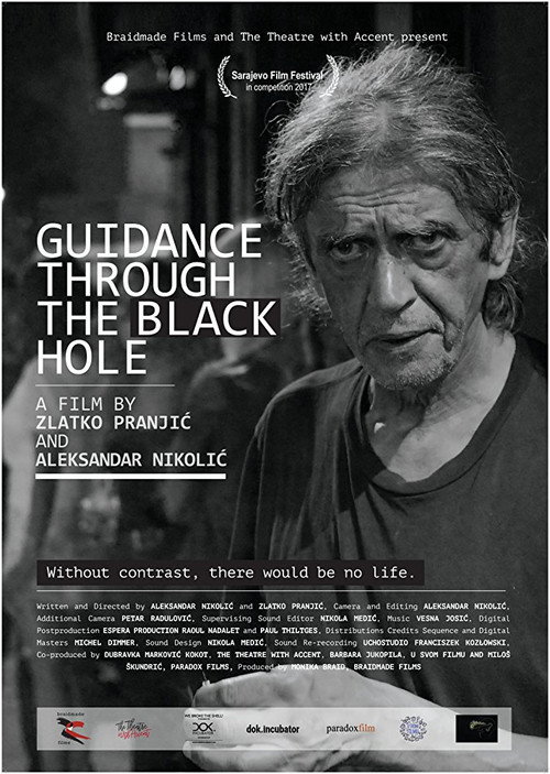 Movie poster for Guidance Through the Black Hole (2017)