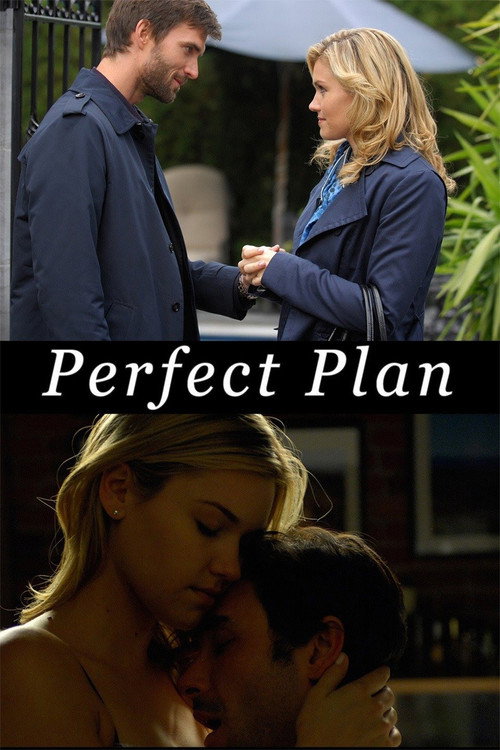 Movie poster for Perfect Plan (2010)