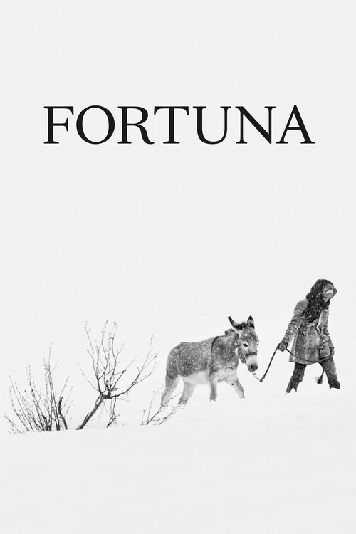 Movie poster for Fortuna (2018)