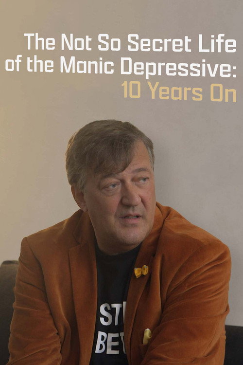Movie poster for The Not So Secret Life of the Manic Depressive: 10 Years On (2016)