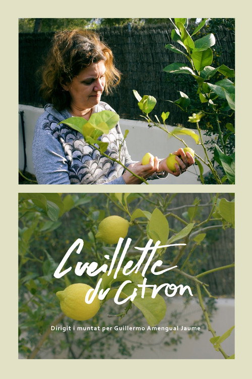Movie poster for Cueillette du citron (2024)