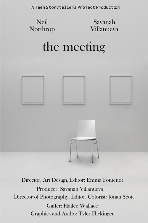 The Meeting poster