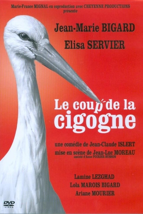 Movie poster for Le Coup de la Cigogne (2015)