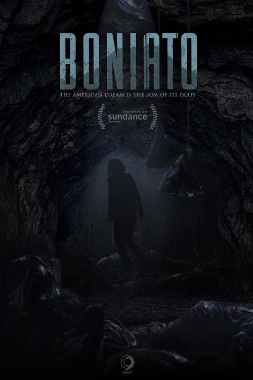 Movie poster for Boniato (2016)