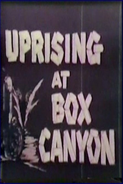 Movie poster for Uprising at Box Canyon (1972)