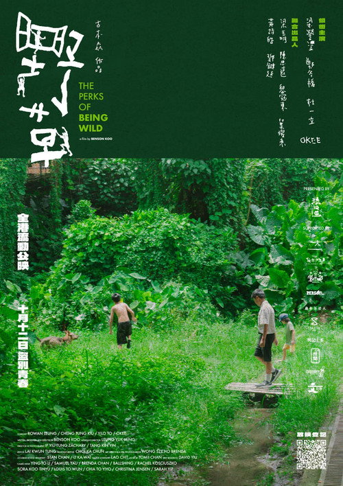 Movie poster for The Perks of Being Wild (2024)