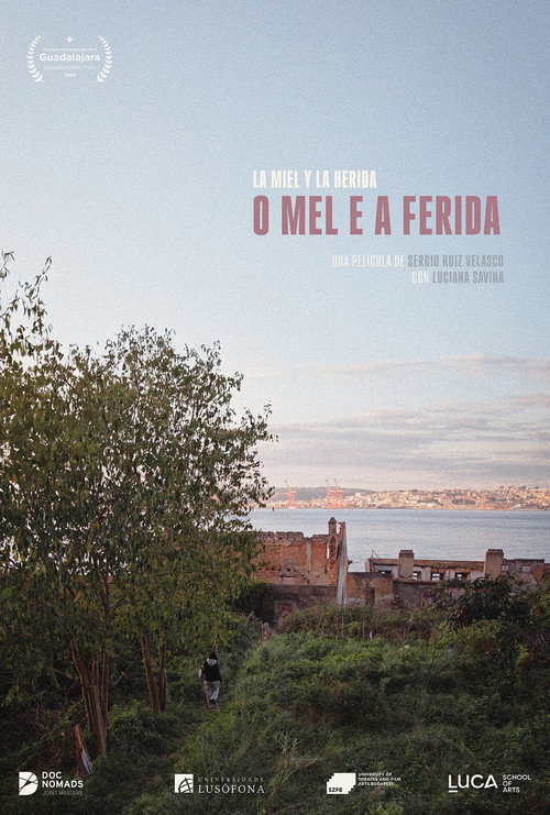 Movie poster for O mel e a ferida (2026)