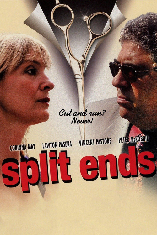 Movie poster for Split Ends (2009)