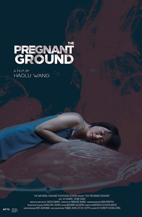 Movie poster for The Pregnant Ground (2019)
