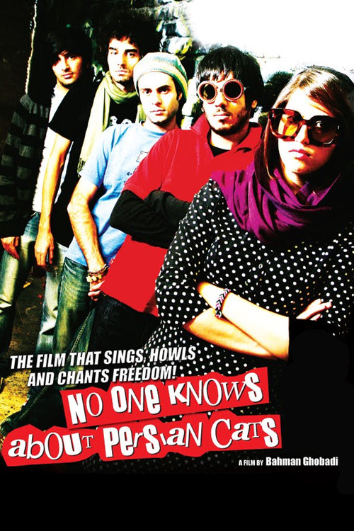 Movie poster for No One Knows About Persian Cats (2009)