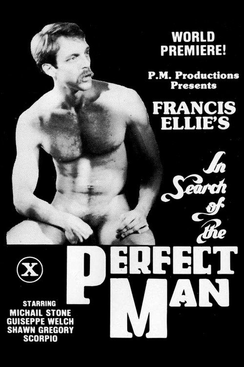 Movie poster for In Search of the Perfect Man (1980)