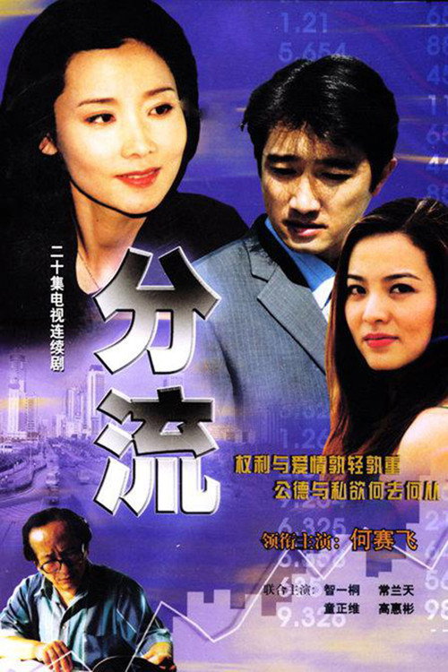 Series poster for 分流 (2002)
