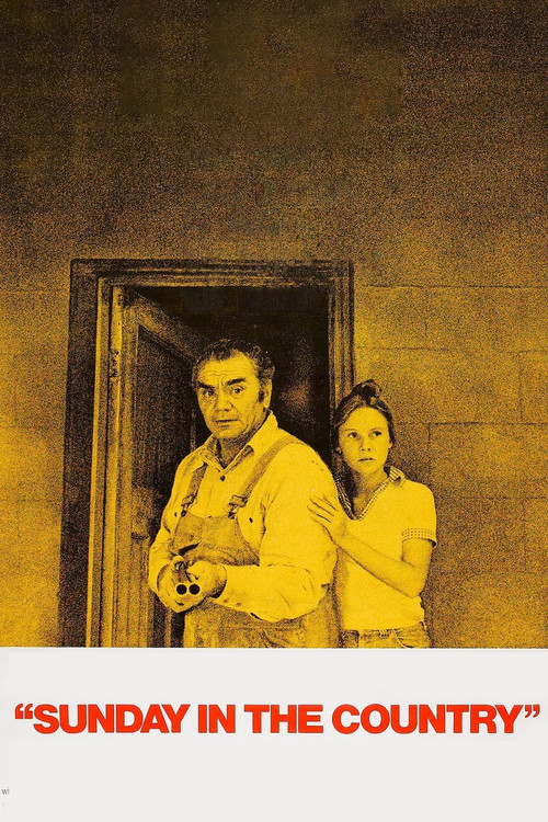 Movie poster for Sunday in the Country (1974)