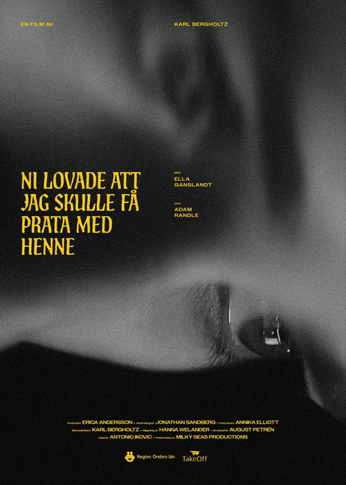 Movie poster for I just want to hear her voice (2025)