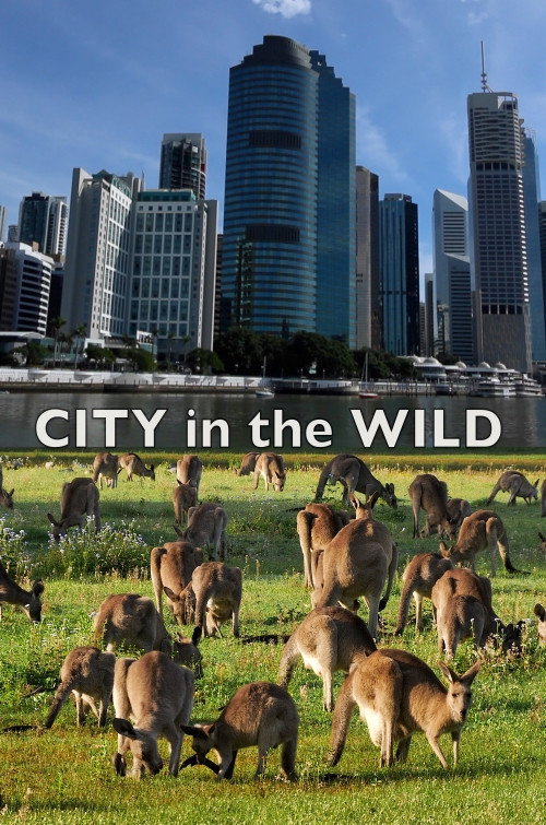 Movie poster for City In The Wild (2021)