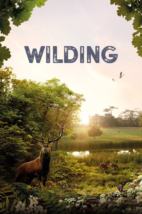 Movie poster for Wilding (2024)
