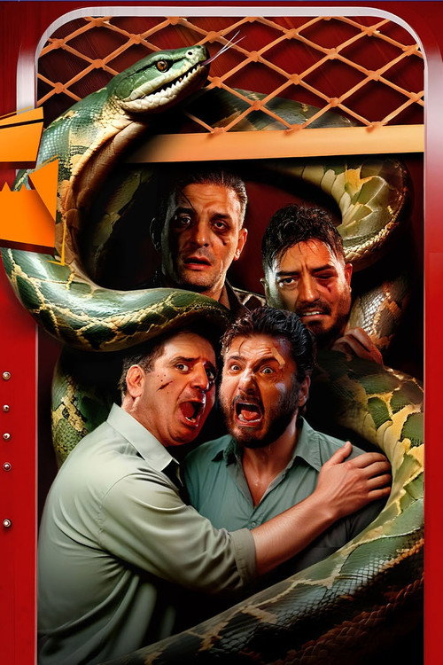 Series poster for Vertigo (2024)