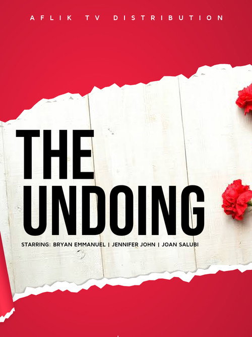 Movie poster for The Undoing (2018)