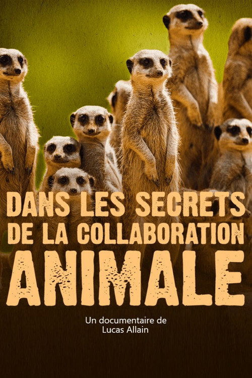 Movie poster for Dans les secrets de la collaboration animale (2021)