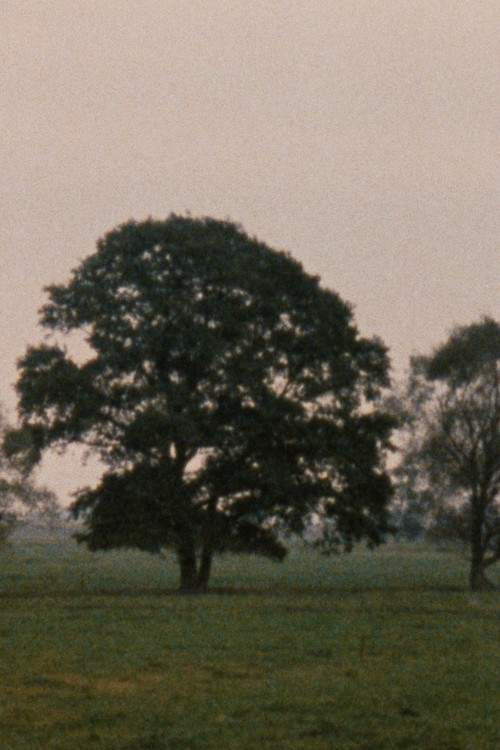 Movie poster for Leute mit Landschaft (1988)