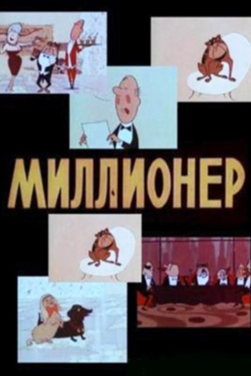 Movie poster for The Millionaire (1963)