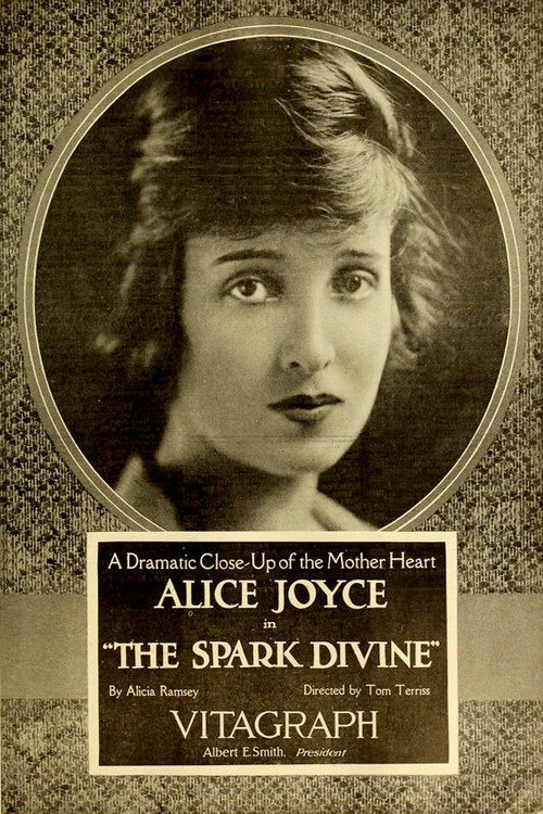 Movie poster for The Spark Divine (1919)