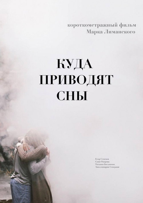 Movie poster for I Want To See You In My Dreams (2017)