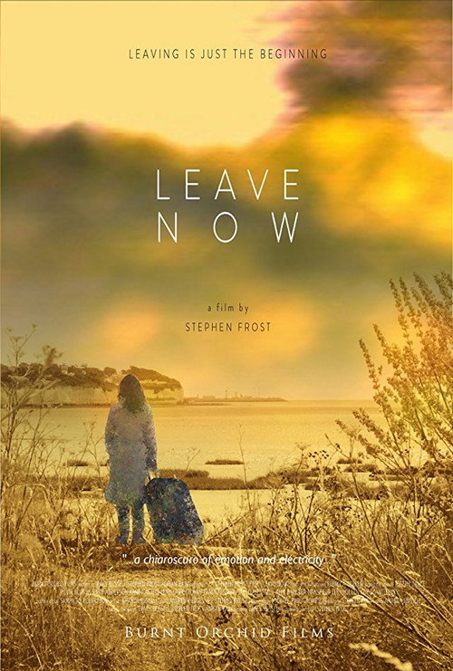Movie poster for Leave Now