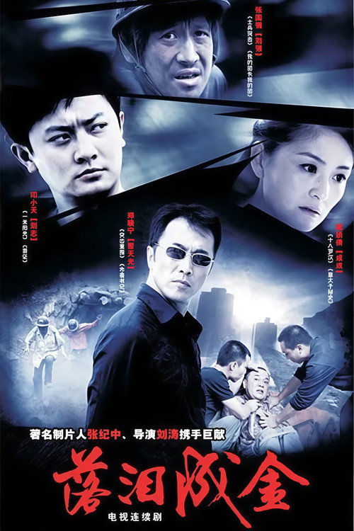 落泪成金 poster