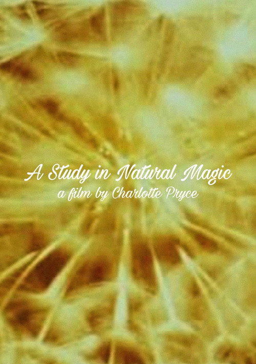Movie poster for A Study in Natural Magic (2013)