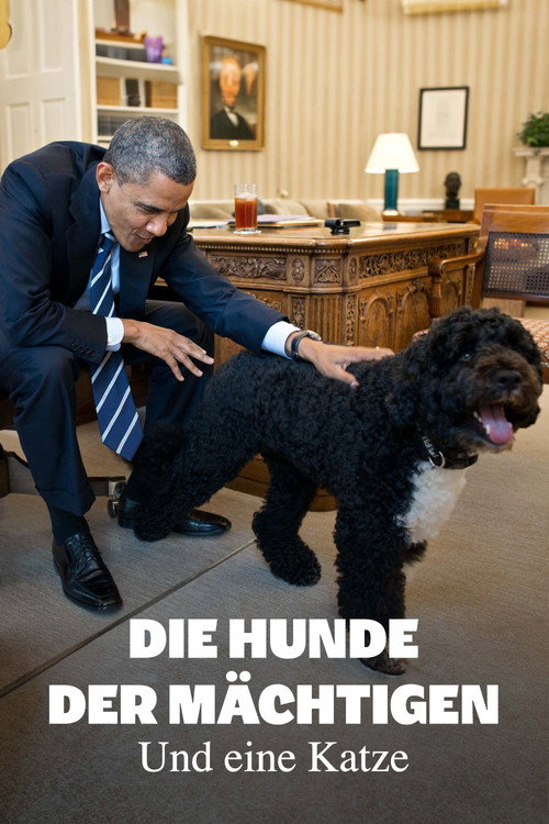 Movie poster for Die Hunde der Mächtigen - und eine Katze (2024)